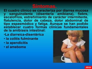 Síntomas.
El cuadro clínico se caracteriza por diarrea mucosa
y sanguinolenta (disentería amibiana), fiebre,
escalofríos, estreñimiento de carácter intermitente,
flatulencia, dolor de cabeza, dolor abdominal de
tipo espasmódico y fatiga. Aunque se han podido
establecer cuatro formas clínicas fundamentales
de la amibiasis intestinal:
•La diarreica-disentérica
• la colitis fulminante
• la apendicitis
• el ameboma
 