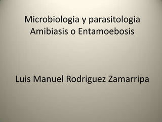 Microbiologia y parasitologia
   Amibiasis o Entamoebosis



Luis Manuel Rodriguez Zamarripa
 