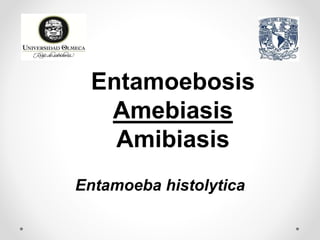 Entamoeba histolytica
Entamoebosis
Amebiasis
Amibiasis
 