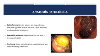 o Colitis fulminantes: las ulceras son muy extensas,
profundas y puede abarcar todas las capas del colon,
ocasionando perforaciones.
o Apendicitis amibiana: hay inflamación, necrosis y
aveces perforación
o Ameboma: lesión granulomatosa pseudotumoral que
afecta mucosa y submucosa.
ANATOMÍA PATOLÓGICA
 