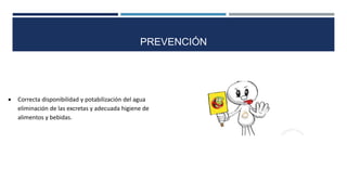 PREVENCIÓN
 Correcta disponibilidad y potabilización del agua
eliminación de las excretas y adecuada higiene de
alimentos y bebidas.
 