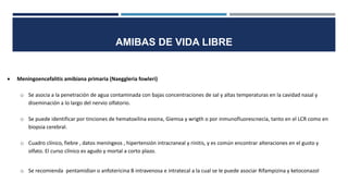 AMIBAS DE VIDA LIBRE
 Meningoencefalitis amibiana primaria (Naeggleria fowleri)
o Se asocia a la penetración de agua contaminada con bajas concentraciones de sal y altas temperaturas en la cavidad nasal y
diseminación a lo largo del nervio olfatorio.
o Se puede identificar por tinciones de hematoxilina eosina, Giemsa y wrigth o por inmunofluorescnecia, tanto en el LCR como en
biopsia cerebral.
o Cuadro clínico, fiebre , datos meníngeos , hipertensión intracraneal y rinitis, y es común encontrar alteraciones en el gusto y
olfato. El curso clínico es agudo y mortal a corto plazo.
o Se recomienda pentamidian o anfotericina B intravenosa e intratecal a la cual se le puede asociar Rifampizina y ketoconazol
 