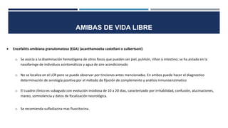  Encefalitis amibiana granulomatosa (EGA) (acanthamoeba castellani o culbertsoni)
o Se asocia a la diseminación hematógena de otros focos que pueden ser piel, pulmón, riñon o intestino; se ha aislado en la
nasofaringe de individuos asintomáticos y agua de aire acondicionado
o No se localiza en el LCR pero se puede observar por tinciones antes mencionadas. En ambos puede hacer el diagnostico
determinación de serología positiva por el método de fijación de complemento y análisis inmunoenzimatico
o El cuadro clínico es subagudo con evolución insidiosa de 10 a 20 dias, caracterizado por irritabilidad, confusión, alucinaciones,
mareo, somnolencia y datos de focalización neurológica.
o Se recomienda sulfadiazina mas fluocitocina.
AMIBAS DE VIDA LIBRE
 