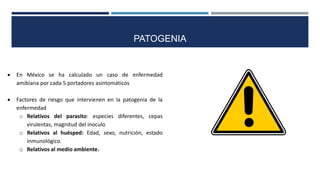 PATOGENIA
 En México se ha calculado un caso de enfermedad
amibiana por cada 5 portadores asintomáticos
 Factores de riesgo que intervienen en la patogenia de la
enfermedad
o Relativos del parasito: especies diferentes, cepas
virulentas, magnitud del inoculo
o Relativos al huésped: Edad, sexo, nutrición, estado
inmunológico.
o Relativos al medio ambiente.
 