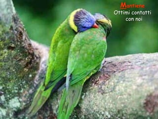 Mantiene

Ottimi contatti
con noi

 