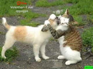 Offre

Volentieri il suo
appoggio

 