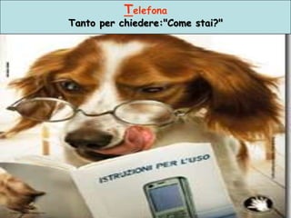 Telefona

Tanto per chiedere:"Come stai?"

 