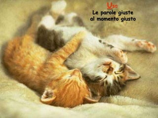 Usa

Le parole giuste
al momento giusto

 