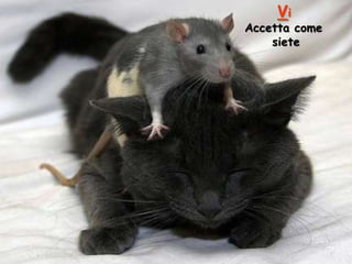 Vi

Accetta come
siete

 