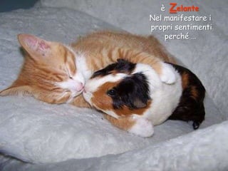 è Zelante
Nel manifestare i
propri sentimenti
perché …

 