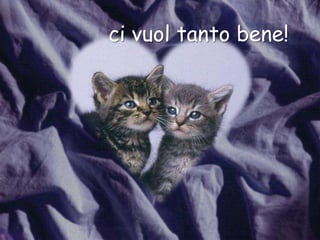 ci vuol tanto bene!

 