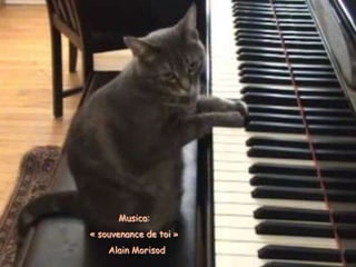 Musica:
« souvenance de toi »
Alain Morisod

 