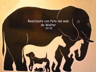 Realizzato con foto dal web
da Walter
02/10

 