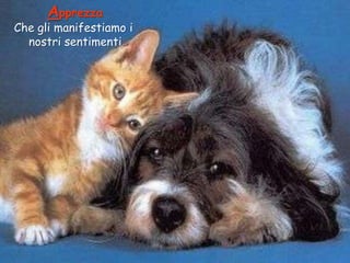 Apprezza

Che gli manifestiamo i
nostri sentimenti

 