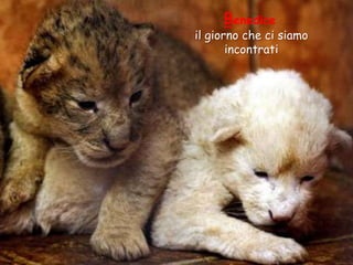 Benedice

il giorno che ci siamo
incontrati

 