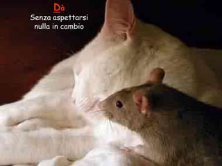 Dà

Senza aspettarsi
nulla in cambio

 