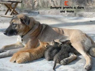 E’

Sempre pronto a dare
una mano

 