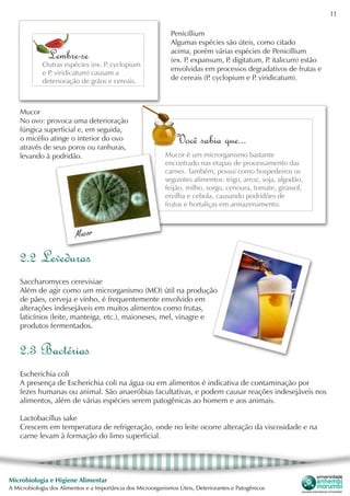 11
Microbiologia e Higiene Alimentar
A Microbiologia dos Alimentos e a Importância dos Microorganismos Úteis, Deteriorantes e Patogênicos
2.2 Leveduras
Saccharomyces cerevisiae
Além de agir como um microrganismo (MO) útil na produção
de pães, cerveja e vinho, é frequentemente envolvido em
alterações indesejáveis em muitos alimentos como frutas,
laticínios (leite, manteiga, etc.), maioneses, mel, vinagre e
produtos fermentados.
Penicillium
Algumas espécies são úteis, como citado
acima, porém várias espécies de Penicillium
(ex. P. expansum, P. digitatum, P. italicum) estão
envolvidas em processos degradativos de frutas e
de cereais (P. cyclopium e P. viridicatum).
Mucor
No ovo: provoca uma deterioração
fúngica superficial e, em seguida,
o micélio atinge o interior do ovo
através de seus poros ou ranhuras,
levando à podridão.
Você sabia que...
Mucor é um microrganismo bastante
encontrado nas etapas de processamento das
carnes. Também, possui como hospedeiros os
seguintes alimentos: trigo, arroz, soja, algodão,
feijão, milho, sorgo, cenoura, tomate, girassol,
ervilha e cebola, causando podridões de
frutos e hortaliças em armazenamento.
Mucor
2.3 Bactérias
Escherichia coli
A presença de Escherichia coli na água ou em alimentos é indicativa de contaminação por
fezes humanas ou animal. São anaeróbias facultativas, e podem causar reações indesejáveis nos
alimentos, além de várias espécies serem patogênicas ao homem e aos animais.
Lactobacillus sake
Crescem em temperatura de refrigeração, onde no leite ocorre alteração da viscosidade e na
carne levam à formação do limo superficial.
Lembre-se
Outras espécies (ex. P. cyclopium
e P. viridicatum) causam a
deterioração de grãos e cereais.
 