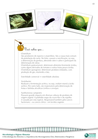 13
Microbiologia e Higiene Alimentar
A Microbiologia dos Alimentos e a Importância dos Microorganismos Úteis, Deteriorantes e Patogênicos
Você sabia que...
Clostridium
São produtores de esporos e anaeróbios. São a causa mais comum
da putrefação da carne. No leite, causam a rancificação, ou seja,
a deterioração da gordura, alterando odor e sabor e participam da
deterioração de ostras
Clostridium pasteurianum: deterioram alimentos levemente ácidos,
como alguns derivados de tomates e outras frutas pouco ácidas.
Clostridium sporogenes: deterioram produtos enlatados, com
produção de gás, estufando a lata.
Esterilidade comercial ≠ esterilidade absoluta
Acetobacter
Realizam a fermentação acética, ou seja, oxidam etanol a ácido
acético. Por outro lado, são responsáveis pela deterioração de
frutas e bebidas alcoólicas (vinhos e cervejas).
Xanthomonas campestris
Possuem grande impacto em diversas culturas de produtos de
origem vegetal. A podridão negra da couve-flor e do repolho
é causada por esta espécie. Responsável também pelo cancro
bacteriano – ou cancro cítrico - em tecidos vegetais.
 