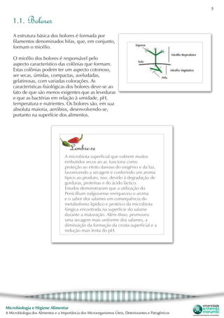 5
Microbiologia e Higiene Alimentar
A Microbiologia dos Alimentos e a Importância dos Microorganismos Úteis, Deteriorantes e Patogênicos
1.1. Bolores
A estrutura básica dos bolores é formada por
filamentos denominados hifas, que, em conjunto,
formam o micélio.
O micélio dos bolores é responsável pelo
aspecto característico das colônias que formam.
Estas colônias podem ter um aspecto cotonoso,
ser secas, úmidas, compactas, aveludadas,
gelatinosas, com variadas colorações. As
características fisiológicas dos bolores deve-se ao
fato de que são menos exigentes que as leveduras
e que as bactérias em relação à umidade, pH,
temperatura e nutrientes. Os bolores são, em sua
absoluta maioria, aeróbios, desenvolvendo-se,
portanto na superfície dos alimentos.
Lembre-se
A microbiota superficial que cobrem muitos
embutidos secos ao ar, funciona como
proteção ao efeito danoso do oxigênio e da luz,
favorecendo a secagem e conferindo um aroma
típico ao produto, isso, devido à degradação de
gorduras, proteínas e do ácido láctico.
Estudos demonstraram que a utilização do
Penicillium nalgiovense enriqueceu o aroma
e o sabor dos salames em consequência do
metabolismo lipídico e protéico da microbiota
fúngica encontrada na superfície do salame
durante a maturação. Além disso, promoveu
uma secagem mais uniforme dos salames, a
diminuição da formação da crosta superficial e a
redução mais lenta do pH.
 