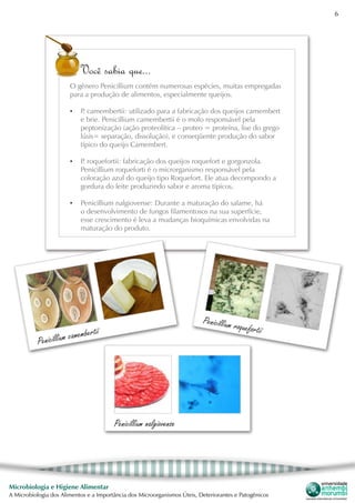 6
Microbiologia e Higiene Alimentar
A Microbiologia dos Alimentos e a Importância dos Microorganismos Úteis, Deteriorantes e Patogênicos
Você sabia que...
O gênero Penicillium contém numerosas espécies, muitas empregadas
para a produção de alimentos, especialmente queijos.
•	 P. camembertii: utilizado para a fabricação dos queijos camembert
e brie. Penicillium camembertii é o mofo responsável pela
peptonização (ação proteolítica – proteo = proteína, lise do grego
lúsis= separação, dissolução), e conseqüente produção do sabor
típico do queijo Camembert.
•	 P. roquefortii: fabricação dos queijos roquefort e gorgonzola.
Penicillium roqueforti é o microrganismo responsável pela
coloração azul do queijo tipo Roquefort. Ele atua decompondo a
gordura do leite produzindo sabor e aroma típicos.
•	 Penicillium nalgiovense: Durante a maturação do salame, há
o desenvolvimento de fungos filamentosos na sua superfície,
esse crescimento é leva a mudanças bioquímicas envolvidas na
maturação do produto.
Penicillium camembertii
Penicillium roquefortii
Penicillium nalgiovense
 