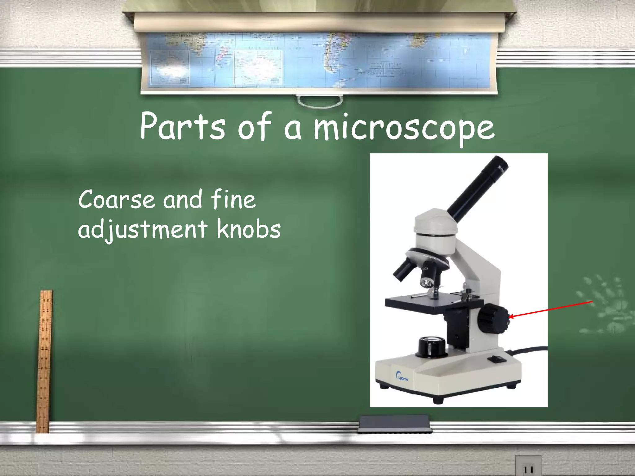 Mircro Scope A Microscope Presentation (Parts of the Mircroscope) | PPT