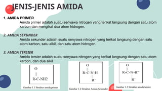KIMIA ORGANIK UNIVERSITAS SEMESTER 3, SENYAWA AMIDA | PPTX