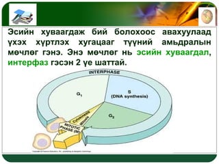 Amid bieiin vndsen shinj | PPT