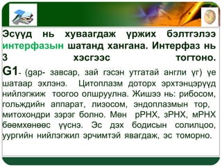 Amid bieiin vndsen shinj | PPT