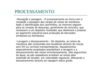 PROCESSAMENTO
oRecepção e pesagem - O processamento se inicia com a
recepção e pesagem das cargas de raízes de mandioca.
Após a identificação dos caminhões, os mesmos seguem
para as rampas de descarga, geralmente de concreto, que
conduzem a um depósito recebedor que destinará o produto
ao segmento industrial para produção de derivados
amiláceos ou farináceos.
oLavagem e descascamento - Do depósito, as raízes de
mandioca são conduzidas aos lavadores através de roscas
sem fim ou correias transportadoras. Equipamentos
especialmente projetados possibilitam a lavagem e o
descascamento das raízes simultaneamente. Sob esguinchos
de água, as pás raspadoras arrastam as raízes pela
extensão do lavador, em velocidade regulavel, efetuando o
descascamento atravéz da rapagem sobre grade.
 