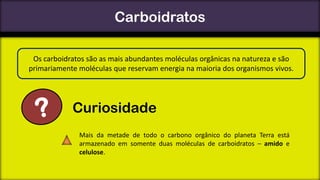 Carboidratos
Os carboidratos são as mais abundantes moléculas orgânicas na natureza e são
primariamente moléculas que reservam energia na maioria dos organismos vivos.

Curiosidade
Mais da metade de todo o carbono orgânico do planeta Terra está
armazenado em somente duas moléculas de carboidratos – amido e
celulose.

 