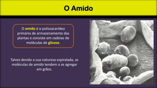 O Amido
O amido é o polissacarídeo
primário de armazenamento das
plantas e consiste em cadeias de
moléculas de glicose.

Talvez devido a sua natureza espiralada, as
moléculas de amido tendem a se agregar
em grãos.

 