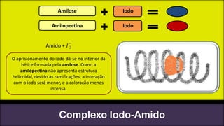 Amilose

Iodo

Amilopectina

Iodo

O aprisionamento do iodo dá-se no interior da
hélice formada pela amilose. Como a
amilopectina não apresenta estrutura
helicoidal, devido às ramificações, a interação
com o iodo será menor, e a coloração menos
intensa.

Complexo Iodo-Amido

 