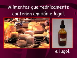 Alimentos que teóricamente conteñen amidón e lugol. e lugol. 