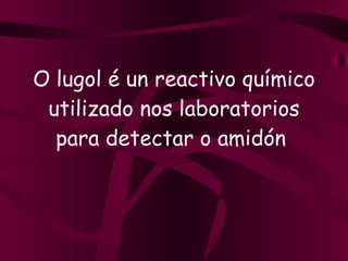 O lugol é un reactivo químico utilizado nos laboratorios para detectar o amidón  