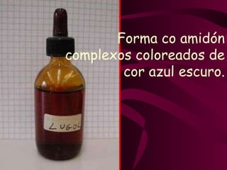 Forma co amidón complexos coloreados de cor azul escuro. 