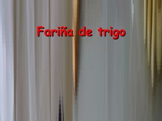 Fariña de trigo 