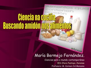 María Bermejo Fernández. Ciencias para o mundo contemporáneo IES Otero Pedrayo. Ourense Profesora: M. Carmen Cid Manzano Ciencia na cociña. Buscando amidón nos alimentos 