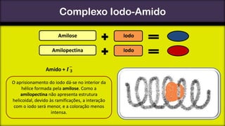 Complexo Iodo-Amido
Amilose

Iodo

Amilopectina

Iodo

O aprisionamento do iodo dá-se no interior da
hélice formada pela amilose. Como a
amilopectina não apresenta estrutura
helicoidal, devido às ramificações, a interação
com o iodo será menor, e a coloração menos
intensa.

 