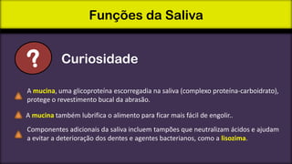 Funções da Saliva
Curiosidade
A mucina, uma glicoproteína escorregadia na saliva (complexo proteína-carboidrato),
protege o revestimento bucal da abrasão.
A mucina também lubrifica o alimento para ficar mais fácil de engolir..

Componentes adicionais da saliva incluem tampões que neutralizam ácidos e ajudam
a evitar a deterioração dos dentes e agentes bacterianos, como a lisozima.

 
