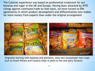 The Colonial experience was based on preferential treatment for our
bananas and sugar in the UK and Europe. Having been attacked by WTO
rulings against continued trade on that basis, we have turned to EPA
agreements in which product development and differentiation now makes
far more money from exports than under the original arrangement




 Originally starting with bananas and plantains, they now incorporate root crops
 such as Sweet Potato and Cassava chips in plain or hot and spicy flavours.

                                         24
 