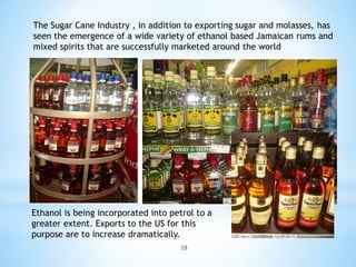 The Sugar Cane Industry , in addition to exporting sugar and molasses, has
seen the emergence of a wide variety of ethanol based Jamaican rums and
mixed spirits that are successfully marketed around the world




Ethanol is being incorporated into petrol to a
greater extent. Exports to the US for this
purpose are to increase dramatically.
                                     28
 