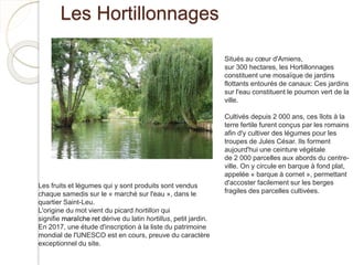 Les Hortillonnages
Situés au cœur d'Amiens,
sur 300 hectares, les Hortillonnages
constituent une mosaïque de jardins
flottants entourés de canaux: Ces jardins
sur l'eau constituent le poumon vert de la
ville.
Cultivés depuis 2 000 ans, ces îlots à la
terre fertile furent conçus par les romains
afin d'y cultiver des légumes pour les
troupes de Jules César. Ils forment
aujourd'hui une ceinture végétale
de 2 000 parcelles aux abords du centre-
ville. On y circule en barque à fond plat,
appelée « barque à cornet », permettant
d'accoster facilement sur les berges
fragiles des parcelles cultivées.
Les fruits et légumes qui y sont produits sont vendus
chaque samedis sur le « marché sur l'eau », dans le
quartier Saint-Leu.
L'origine du mot vient du picard hortillon qui
signifie maraîche ret dérive du latin hortillus, petit jardin.
En 2017, une étude d'inscription à la liste du patrimoine
mondial de l'UNESCO est en cours, preuve du caractère
exceptionnel du site.
 
