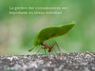 La gestion des connaissances est
importante au niveau individuel
 