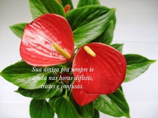 Sua amiga pra sempre te
ajuda nas horas difíceis,
tristes e confusas. 

 