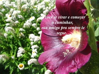 Se você se virar e começar
a caminhar,
 sua amiga pra sempre te
segue. 

 