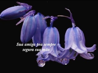 Sua amiga pra sempre
segura sua mão 

 