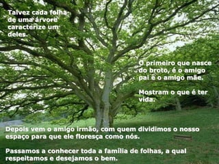 Depois vem o amigo irmão, com quem dividimos o nosso
espaço para que ele floresça como nós.
Passamos a conhecer toda a família de folhas, a qual
respeitamos e desejamos o bem.
O primeiro que nasce
do broto, é o amigo
pai e o amigo mãe.
Mostram o que é ter
vida.
Talvez cada folha
de uma árvore
caracterize um
deles.
 