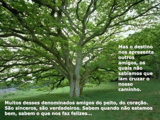 Muitos desses denominados amigos do peito, do coração.
São sinceros, são verdadeiros. Sabem quando não estamos
bem, sabem o que nos faz felizes...
Mas o destino
nos apresenta
outros
amigos, os
quais não
sabíamos que
iam cruzar o
nosso
caminho.
 