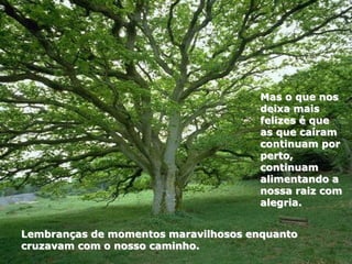 Lembranças de momentos maravilhosos enquanto
cruzavam com o nosso caminho.
Mas o que nos
deixa mais
felizes é que
as que caíram
continuam por
perto,
continuam
alimentando a
nossa raiz com
alegria.
 